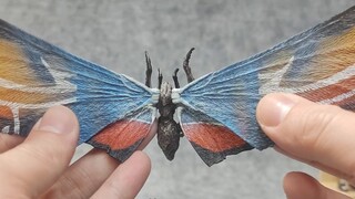 [Chu Ding Chia sẻ 354] Con bướm đang đến! HIYA Mothra, Vua quái vật