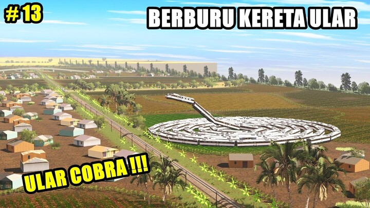 BERBURU KERETA ULAR - HUNTING KERETA PART-13