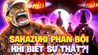 SAKAZUKI SẼ PHẢN BỘI LẠI KHI BIẾT SỰ THẬT TỪ VEGAPUNK?! | ONE PIECE 1109+