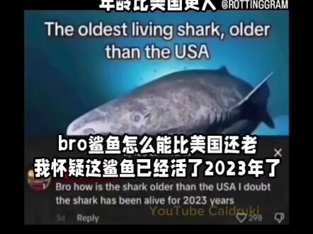Comment Section Memes #7: Fixed the “Foreigners Don’t Know Wei Yimin” Bug