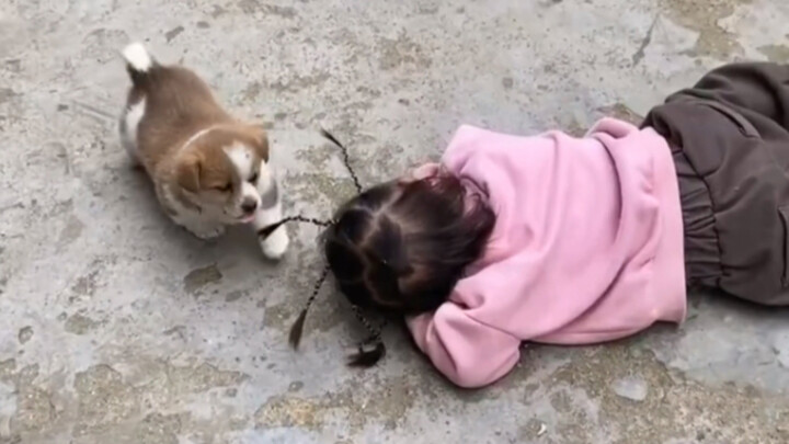 “A childhood without a puppy is incomplete.”