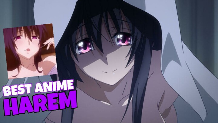 10 Rekomendasi Anime Harem Terbaik