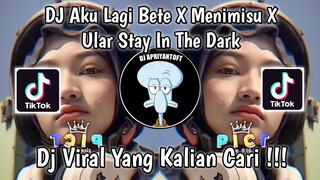 DJ AKU LAGI BETE X MENIMISU X ULAR STAY IN THE DARK TREND CEGIL NO THIS IS GANTI TEKS VIRAL TIKTOK !