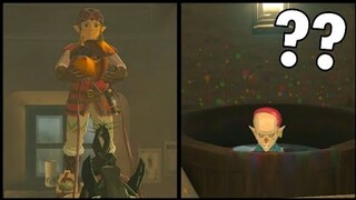 Link BREAKS the Dye Shop! | Zelda: Breath of the Wild
