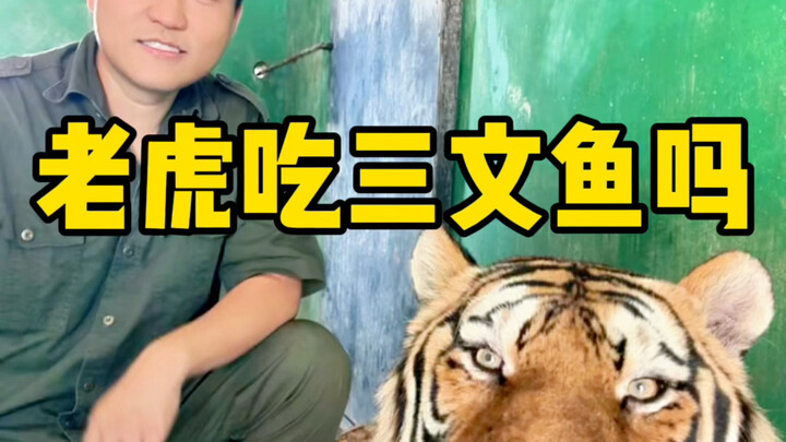 这要是给虎子们喂挑食了可该怎么办呐！