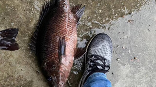 路亚有风险，钓鱼须谨慎