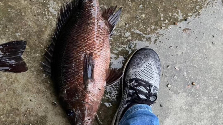 Lure fishing carries risks; anglers must proceed with caution.