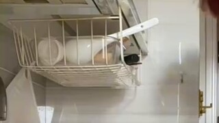 Bisakah Anda memprediksi saya?