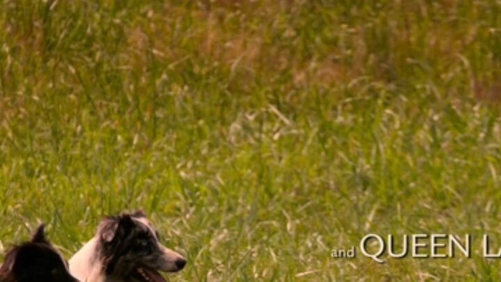 This clip is from "Miracles from Heaven 2016" . A movie based on the true story.