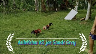 SPAR!                                      AsilxKelso VS Joe Goode          Nasapol sa ulo ang grey