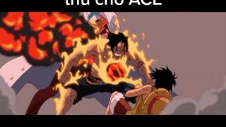 Các bạn có muốn luffy trả thù cho Ace không