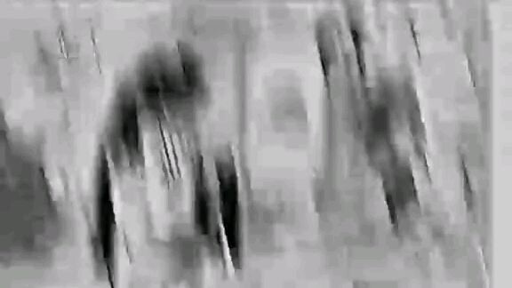 kimetsu no yaiba - những thành viên đã mất trong trận chiến cuối cùng