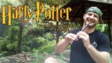 Harry Potter - Hedwig's Theme - Tin Whistle Tutorial + Tabs