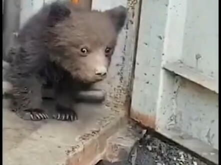 A Naughty Kid’s Gratitude