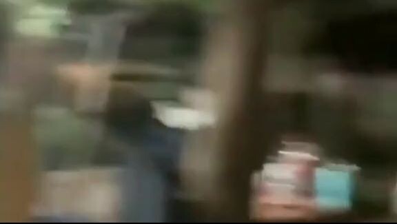 Video lucu