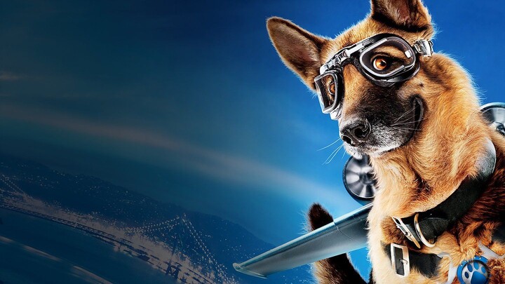 Cats & Dogs - 2 - (2010).