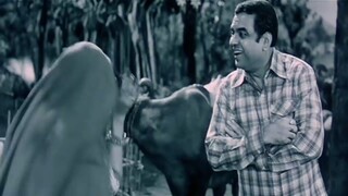 Aage Peeche Full Song Golmaal Sushmita Mukherjee Paresh Rawal