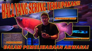 HAL2 YANG SERING TERLUPAKAN DALAM MEMELIHARA ARWANA SUPER RED!