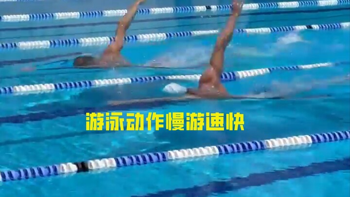 Mengapa gerakan perenang tampak lambat tapi kecepatan berenangnya sangat tinggi?