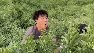 鸟没抓到，抓到个人。。。