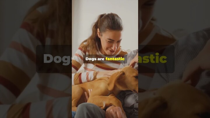 |Doggie Love: Companionship for Seniors 🐾❤️ #reels #viralshorts