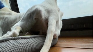 摄影师冒着生命危险拍下了这一幕