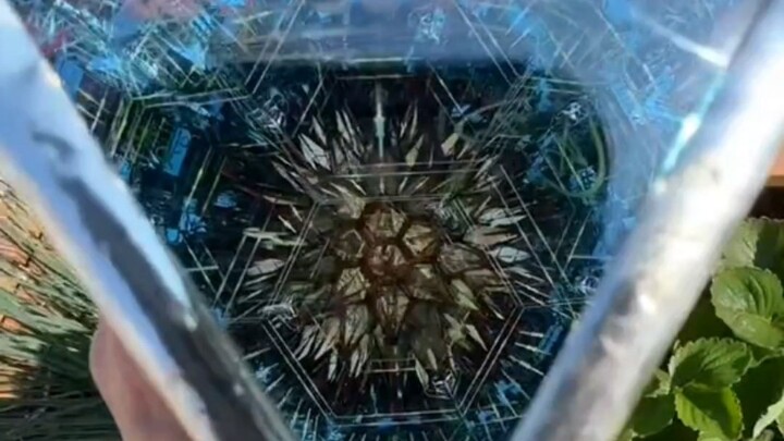 "Kaleidoskop senilai $60.000"