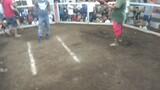2 Cock Ulutan sa Guinobatan Sport Arena, 1 win, 1 loss tayo Mga boss, Silat pa Champion