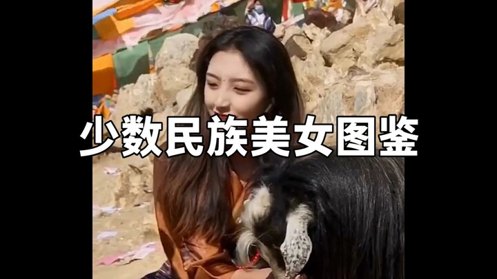 คู่มือภาพสาวงามชนกลุ่มน้อย