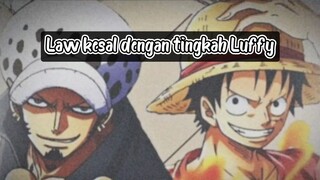 LAW TIDAK TAHAN DENGAN TINGKAH LUFFY!!