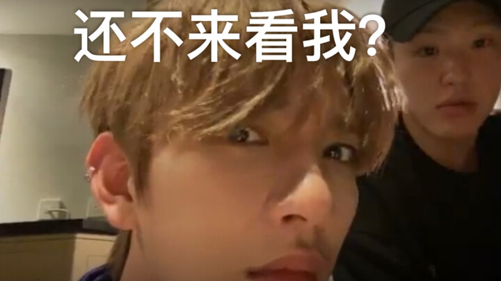 【SEVENTEEN】美国兔在线欺负韩国鼠