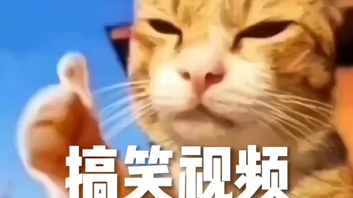 Laugh every time I watch it