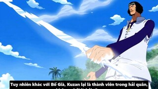 Bí Ẩn Về Cựu Đô Đốc Aokiji - Nguồn Gốc & Sức Mạnh-Tiền Truy Nã-Phân Tích One Pie