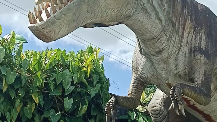 Campuestuhan Dinos