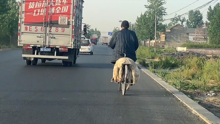 “下次你路过，人间已无我”