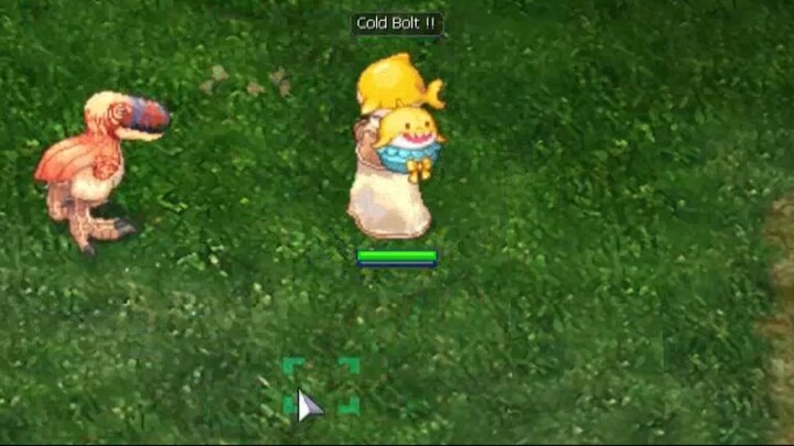 Ragnarok Zero Global Gameplay – Mage Class, Baby Shark Costume, & Tips for New Players #ragnarok