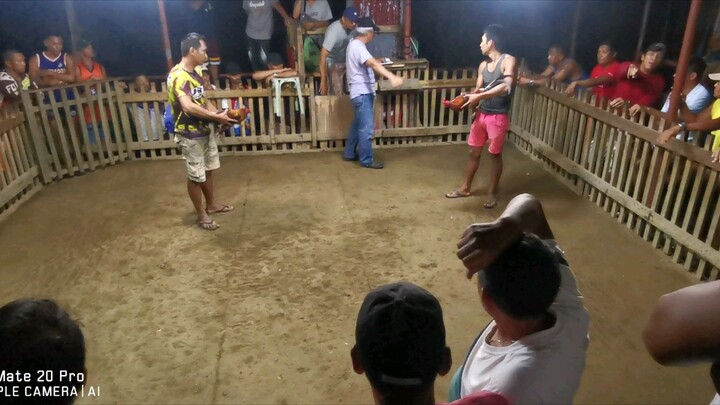Rj BREEDER  BASCO BATANES
