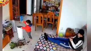 Tổng Hợp Những Tình Huống 'HÀI HƯỚC NHẤT ' Khiến Người Xem KHÔNG NHỊN ĐƯỢC CƯỜI