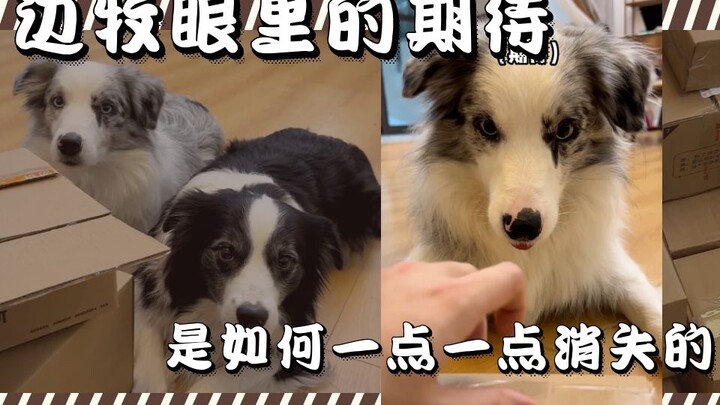 ความคาดหวังในสายตาของออสการ์กำลังเลือนหายไปอย่างเห็นได้ชัด～