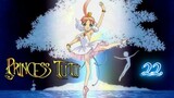 Princess Tutu (Purinsesu Chuchu) Eps.22 Anime sub indo