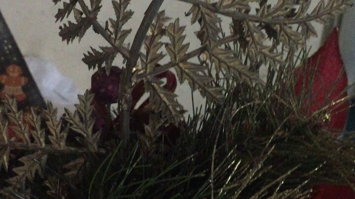 Cheeseroll  @ sweetczatisfaction