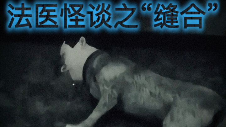 Kisah Aneh Forensik tentang "Menjahit"