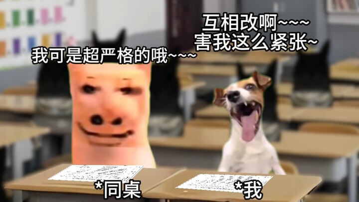 Khi giáo viên bảo bạn và bạn cùng bàn đổi bài kiểm tra cho nhau