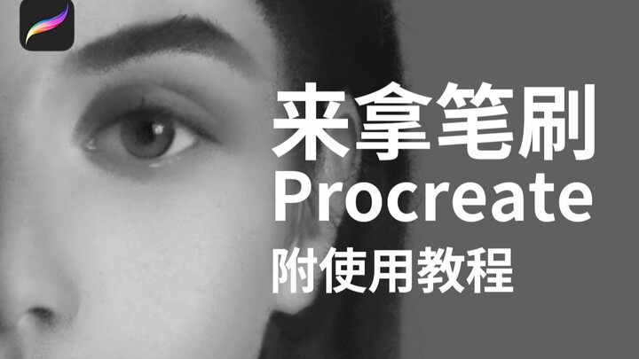 【Chia sẻ brush】Brush tô màu dày Procreate tải miễn phí