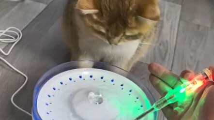 You must connect a ground wire to the automatic pet water fountain.