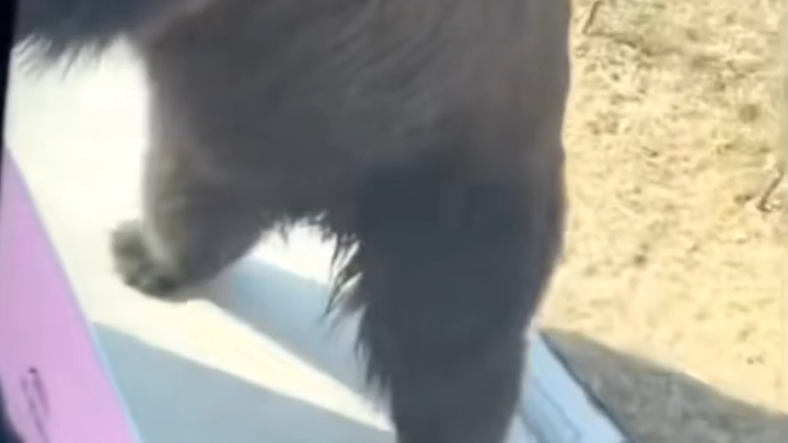 These little feet, hahaha