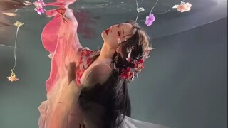 Bisa juga memotret di bawah air seperti ini? Si kodok darat terselamatkan!