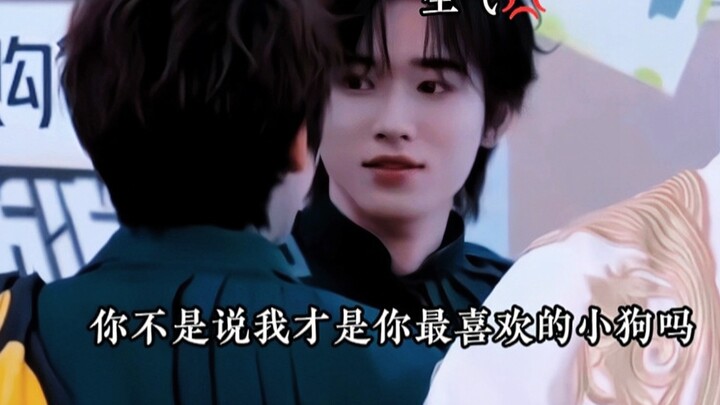 [Xuanlin] Asking Junlin for a puppy-training tutorial... This is so drama-filled!