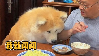 狗子：虚心接受，下次还犯！