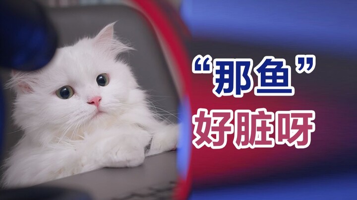 جاء إلى البرنامج فقط للكشف عن الفضائح الخفية.